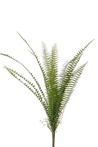 Artificial nephrolepis fern - 1 bush - Green