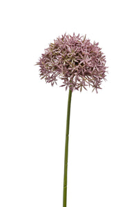 Allium künstlich - 1 Stiel - Lila