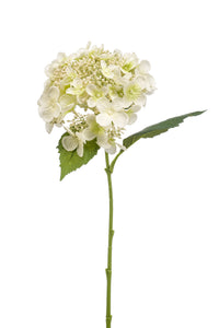 Hortensia artificiel - 1 tête - Blanc