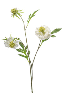 Artificial scabiosa - 1 stem - White