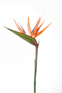 Artificial strelitzia - 1 stem - Orange