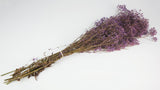 Gypsophila preservada - 1 manojo - Violeta